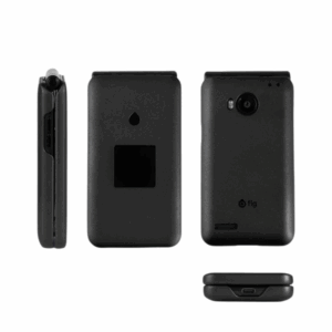 Fig Phone Case