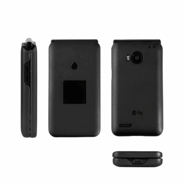 Fig Phone Case